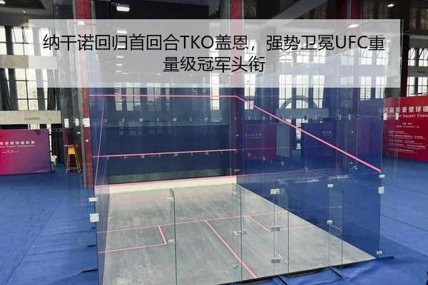 纳干诺回归首回合TKO盖恩，强势卫冕UFC重量级冠军头衔